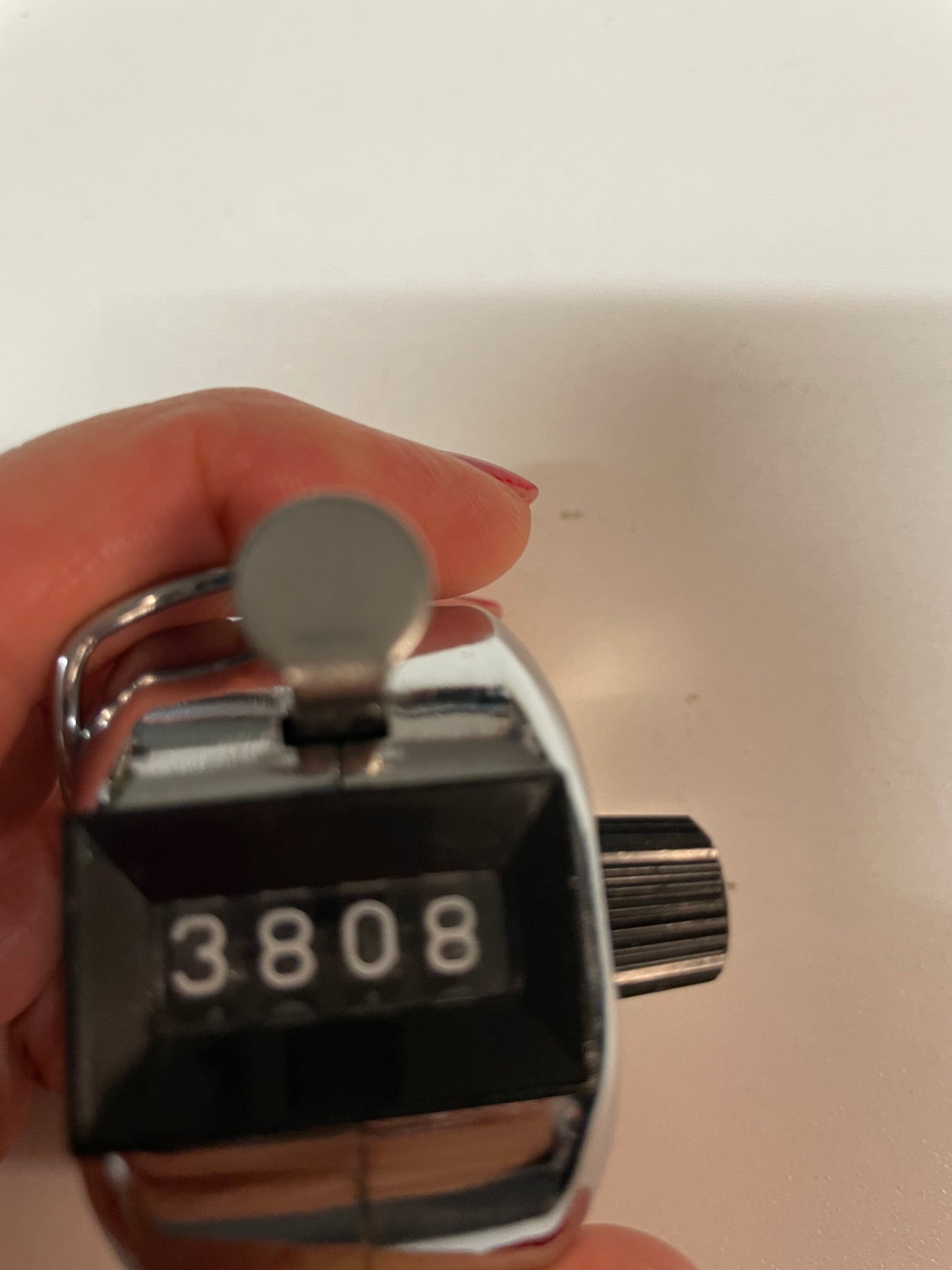 Dickies Vintage Shorts 38 3808